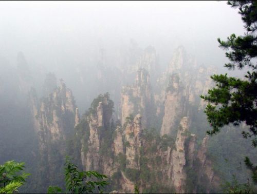 沼池圖片