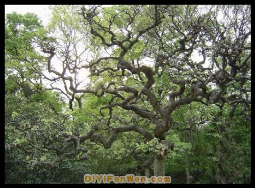 江蘇中山陵圖片