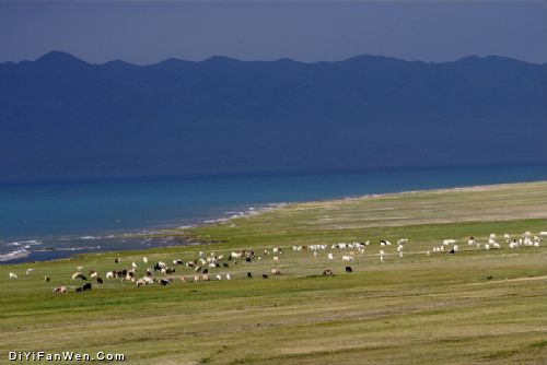 新疆賽里木風光圖片