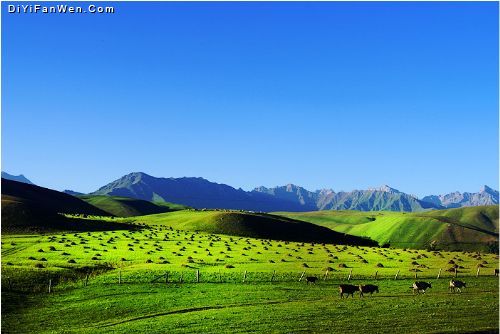 新疆伊犁行圖片