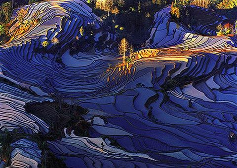 元陽梯田圖片