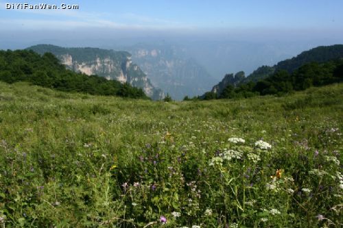 河南萬仙山圖片
