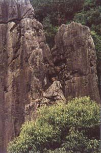 鱗隱石林圖片
