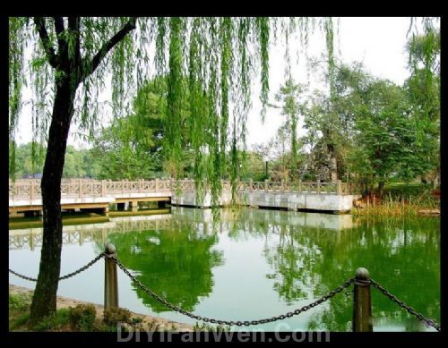 湖南濱湖公園圖片