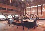 自貢恐龍博物館圖片