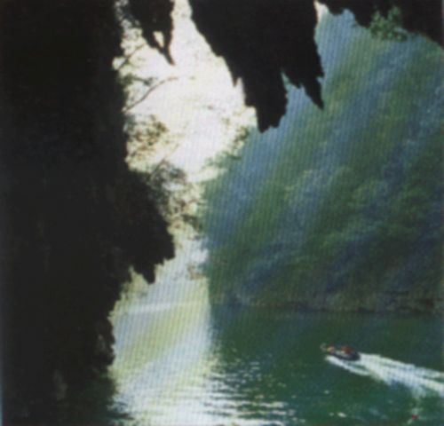 琵琶溪圖片