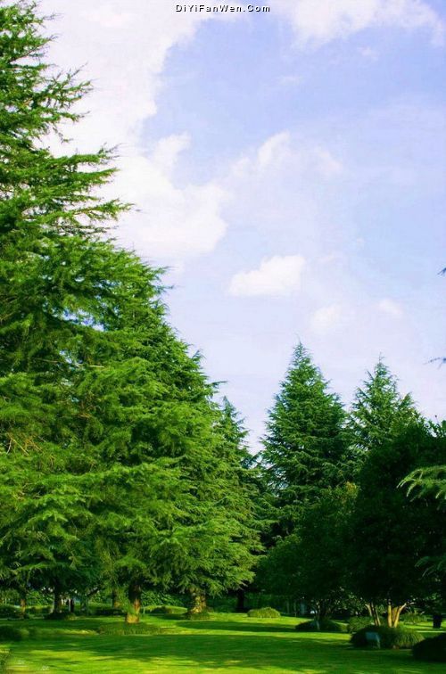 瀋陽世博園圖片