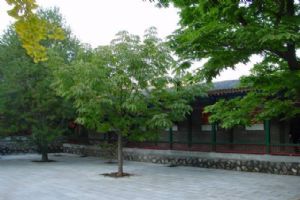北京雲居寺組圖（2）圖片