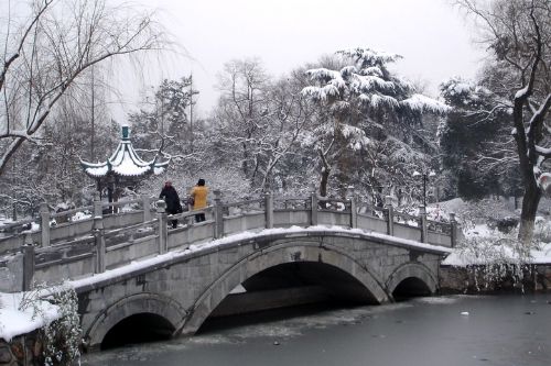 南京連日雪紛紛圖片