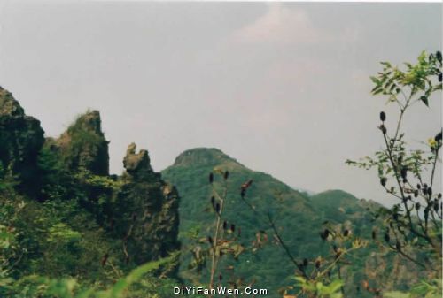 馬仁奇峰森林旅遊區圖片