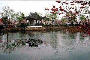 蠡園圖片