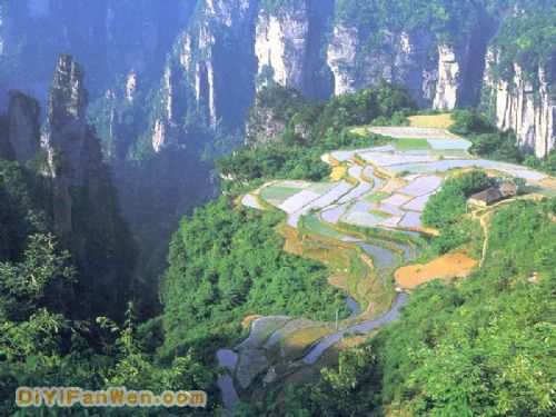 天子山風情圖片