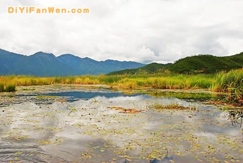 瀘沽湖一抹美艷的藍圖片