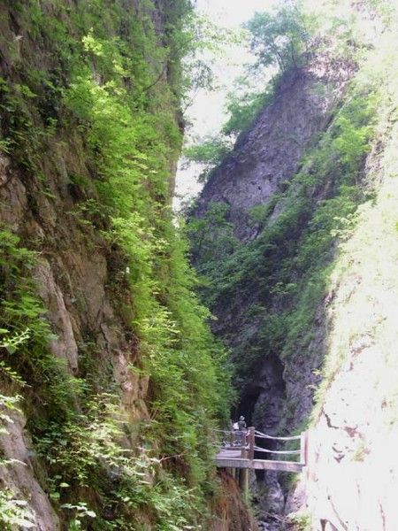 陝西金絲大峽谷圖片