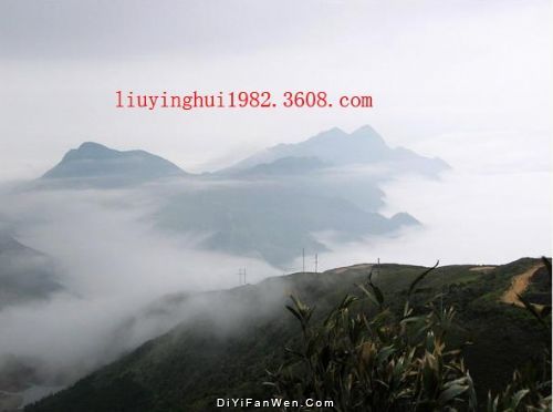 大霧嶺圖片