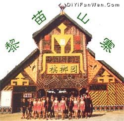 南國檳榔莊園圖片