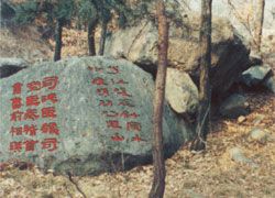 蒙山國家森林公園圖片
