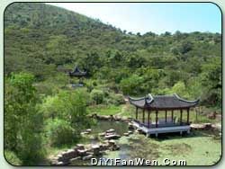 洞庭西山古樟植物園圖片