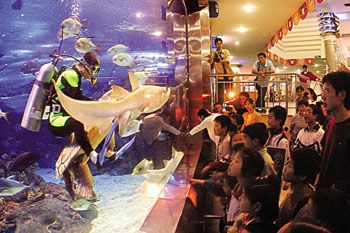 長沙海底世界圖片