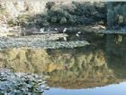 香山公園（1）