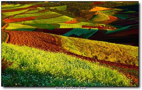 東川紅土地圖片
