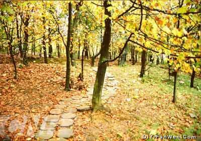 南郊公園圖片