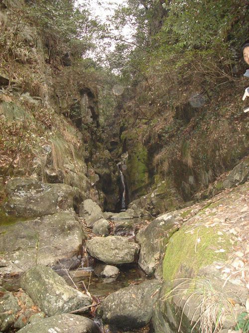 黃山五溪山圖片