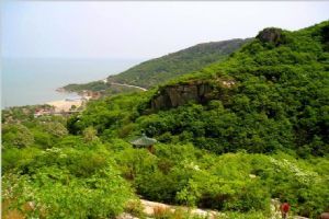 海濱浴場圖片