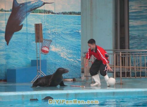 湖南長沙動物園圖片