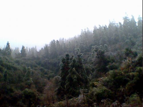 滸坑雪景圖片