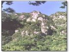 王順山森林公園