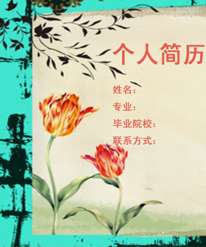 歷史老師個人簡歷封面