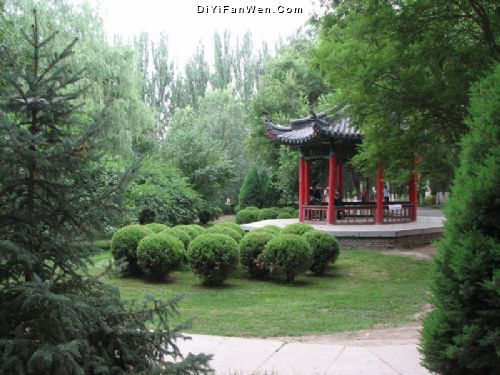 銀川中山公園圖片