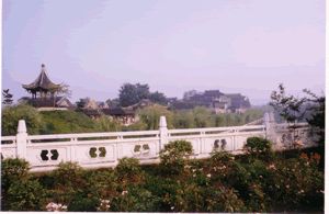 柳敬亭公園圖片