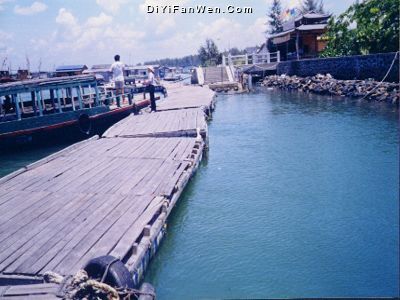 東郊椰林圖片