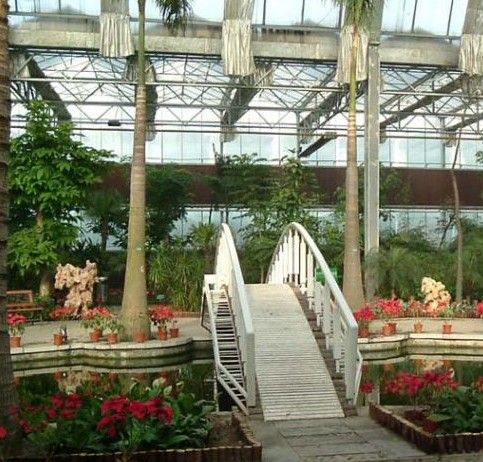 天津熱帶植物觀光園圖片