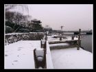 黃樓