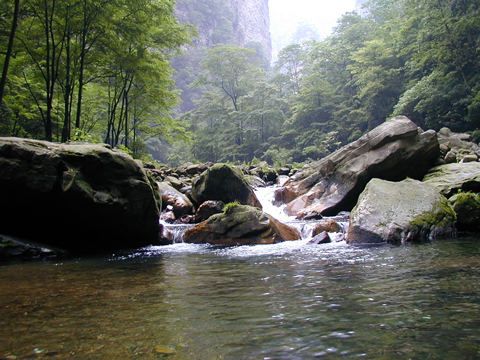 金鞭溪圖片