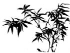 黑板報花邊：竹葉花邊