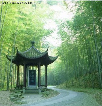 西湖雲棲竹徑（新十景）圖片
