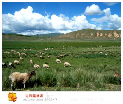 甘南景色圖片