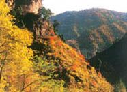 仙台山圖片