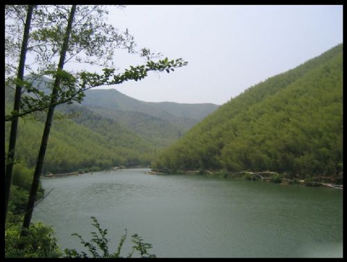 江蘇南山竹海圖片