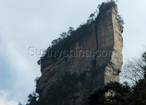 金鞭溪圖片