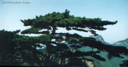 金剛台國家地質公園金剛台景區圖片