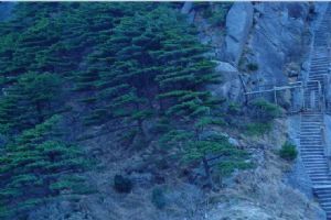 黃山天都峰圖片