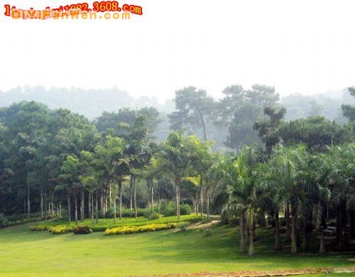 廣西青秀山風景區圖片