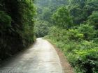 四面山風景名勝區