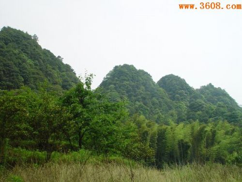 縉雲山風景圖片