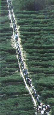 蒙山圖片